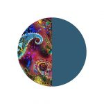 Combinado místico y azul petróleo